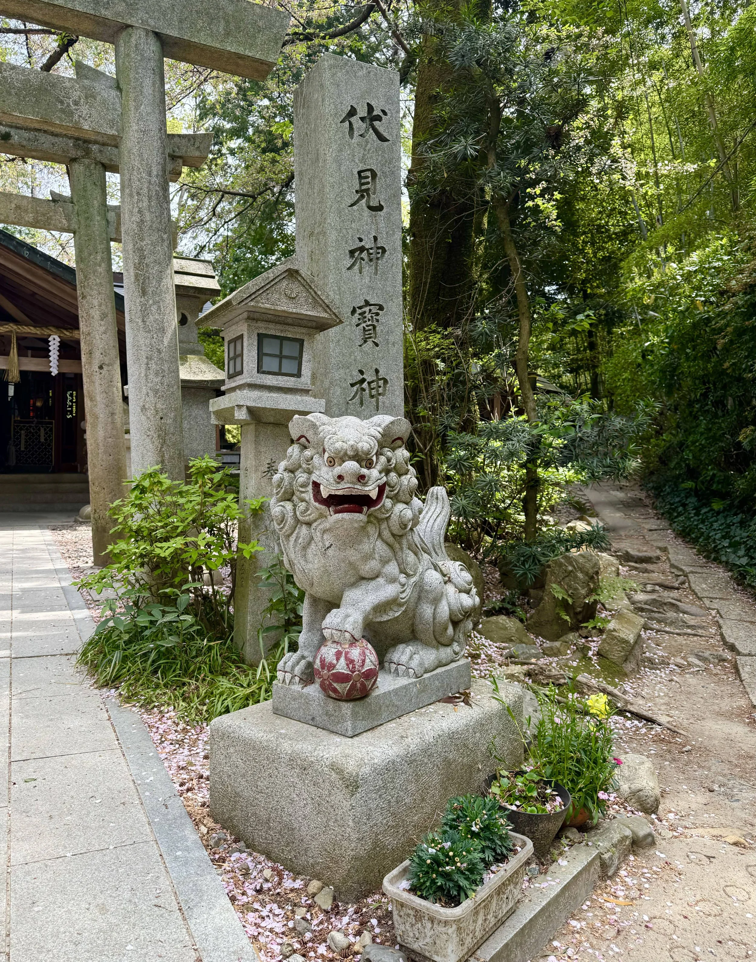 The “Secret” Bamboo Trail at Fushimi Inari Taisha: A Tourist-Free